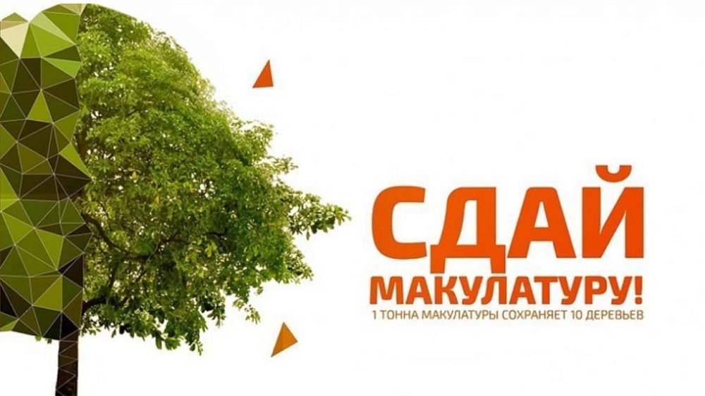 Южноуральцы могут выиграть для региона аллею редких деревьев