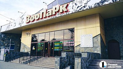 В челябинском зоопарке из спячки вышел медведь