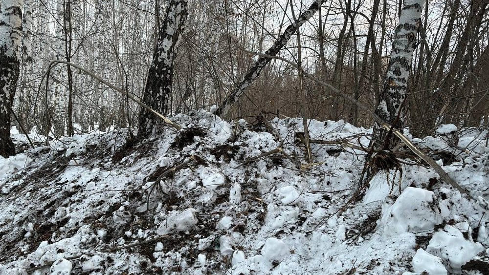 В Челябинске во время утепления трассы снесли лесной массив