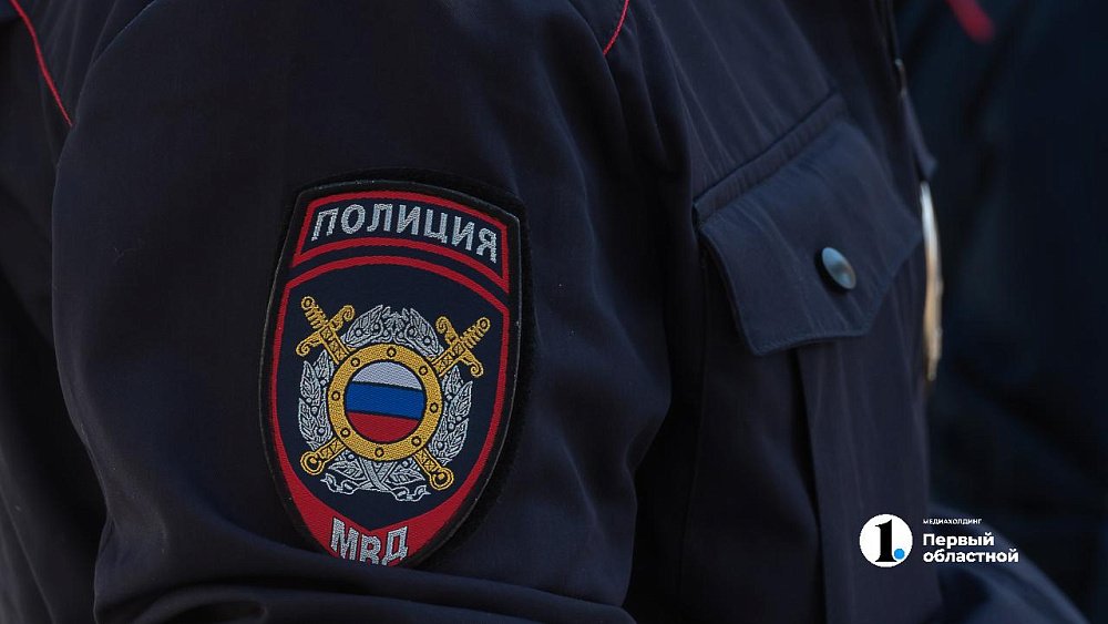 Более 1100 боеприпасов изъяли полицейские у жителей Челябинской области