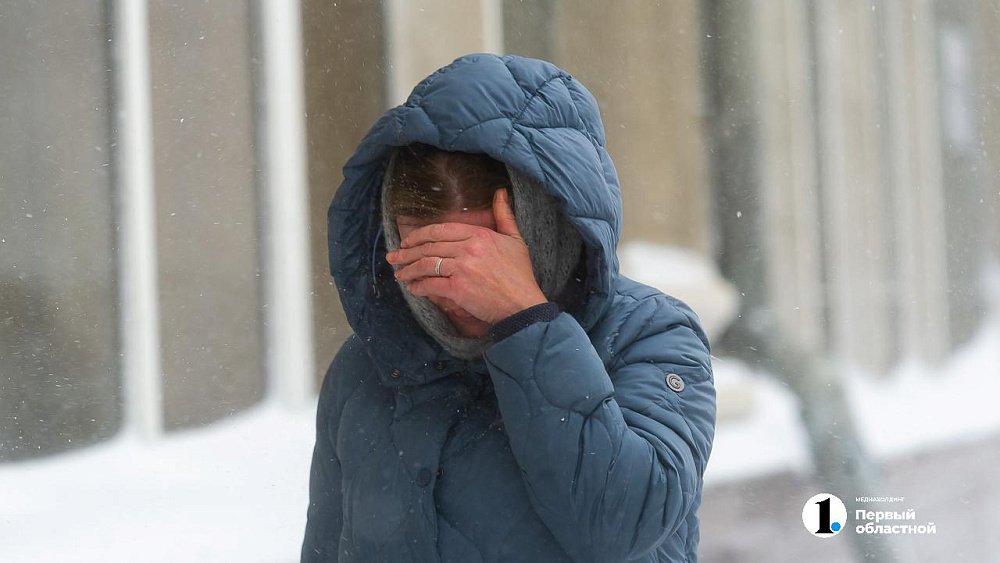 Жителей Челябинской области предупредили о метелях и гололеде