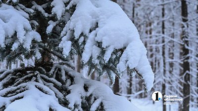 В Челябинской области для диких животных проложили 10 тысяч километров троп