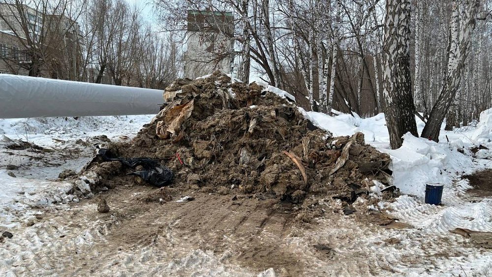 Снос деревьев возле теплосетей в Челябинске признан санитарной очисткой