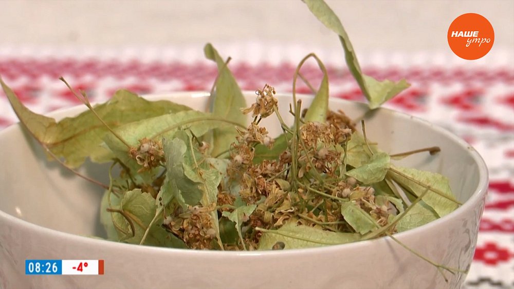 Завариваем липу в рубрике «Время пить чай»