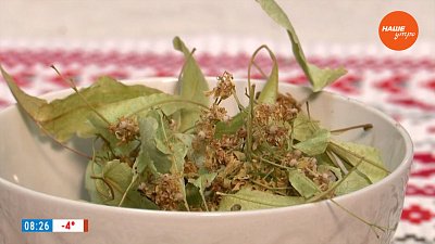 Завариваем липу в рубрике «Время пить чай»