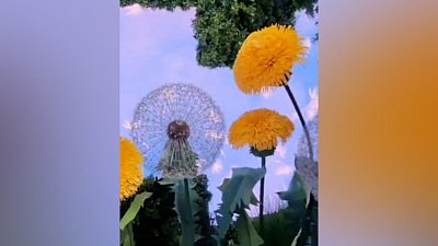 Стенд Челябинской области на выставке «Россия» изменился к весне