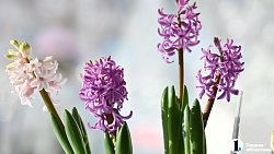 Женам и матерям военнослужащих из Челябинской области устроили предпраздничную фотоссесию