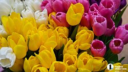 Женам и матерям военнослужащих из Челябинской области устроили предпраздничную фотоссесию