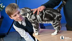 Женам и матерям военнослужащих из Челябинской области устроили предпраздничную фотоссесию