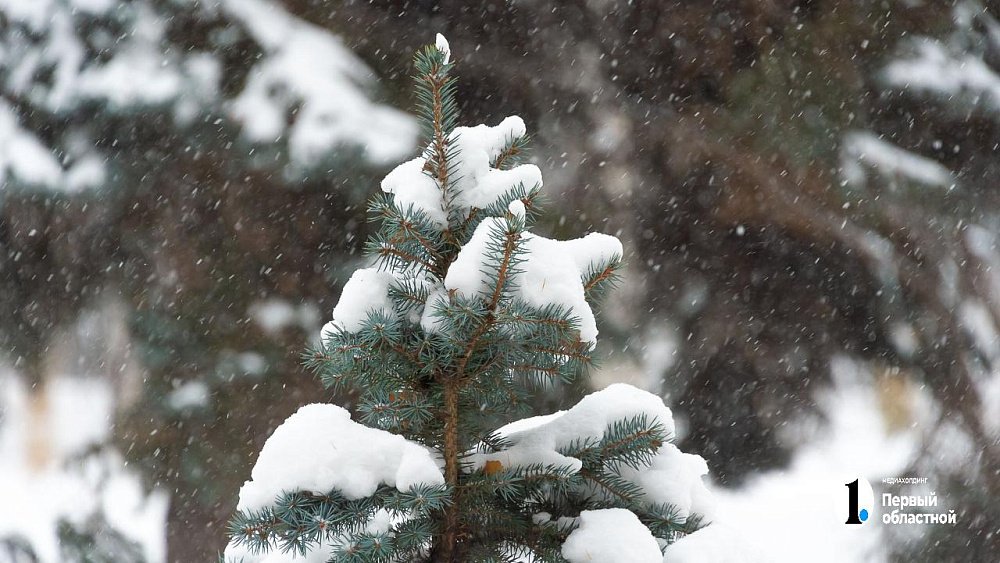 Жителям Челябинской области обещают слабый снег