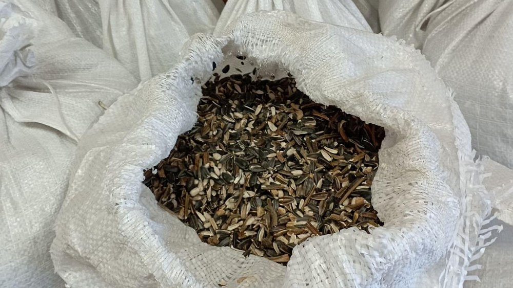 Таганайские птицы склевали за зиму четыре центнера семечек