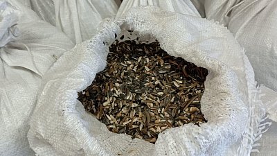 Таганайские птицы склевали за зиму четыре центнера семечек