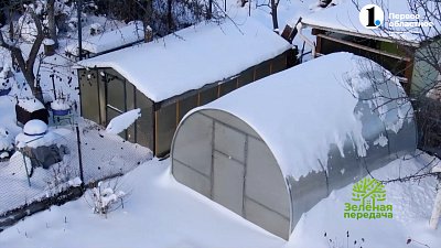 Какие работы провести в саду в марте?