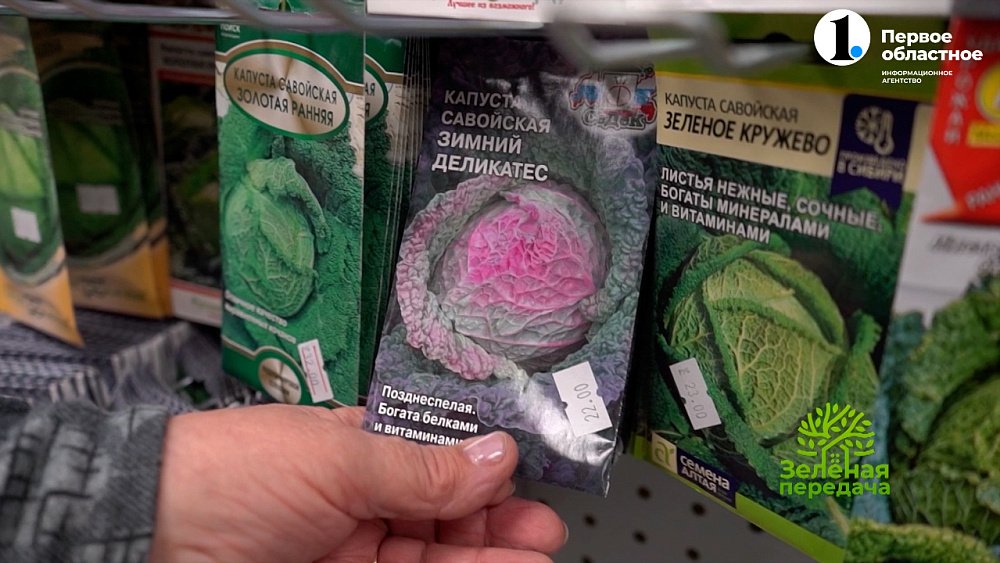 Необычная капуста — здоровью польза, саду украшение