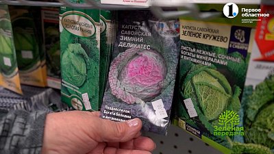 Необычная капуста — здоровью польза, саду украшение