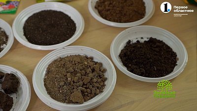 Как улучшить глиняные почвы?