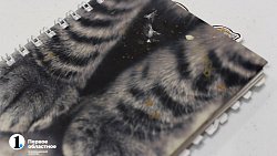 В Челябинске собирают выставку из вещей, оставшихся от бывших