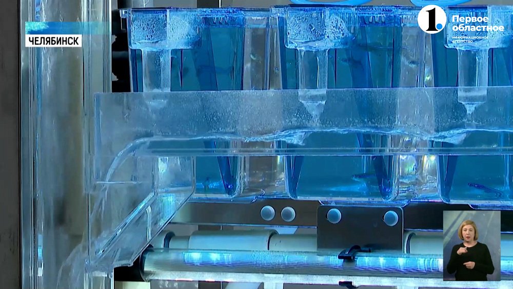 В ЮУрГУ начали разрабатывать лекарства