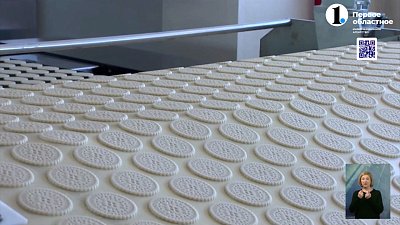 В Коркино приехала делегация из Китая