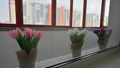 Новые правила перепланировки могут сократить число сделок на вторичном рынке жилья Челябинска