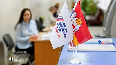 Южноуральцы сообщили о проблемах с входом на платформы удаленного голосования