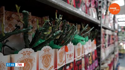 Мало купить розу ― важно ее сохранить! ― в рубрике «Руки садовода»