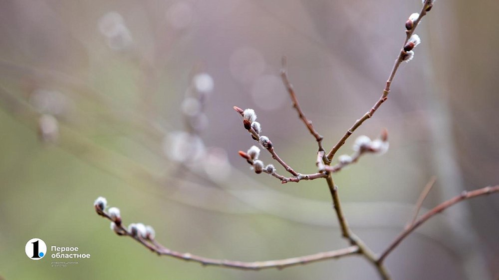 До +9 градусов потеплеет в Челябинской области 17 марта