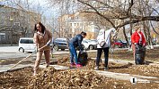 Весенние субботники в Челябинской области стартуют с 15 апреля