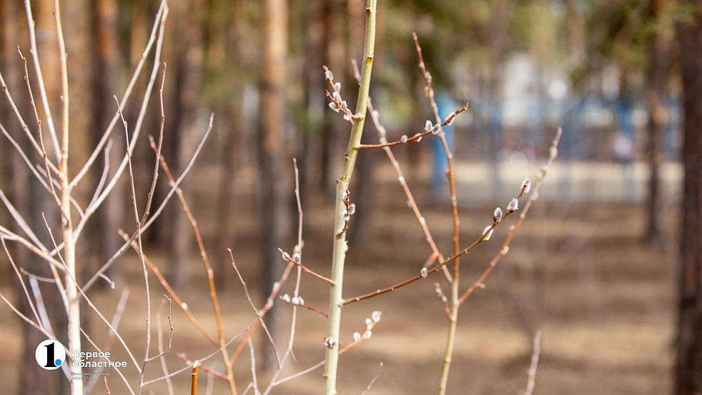 Жителей Челябинской области ждет по‑весеннему теплая неделя