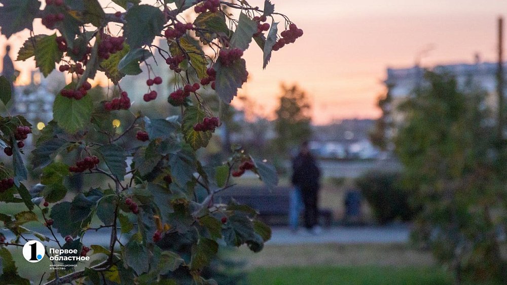 Челябинск в этом сезоне украсят фиалками, шалфеем и луком