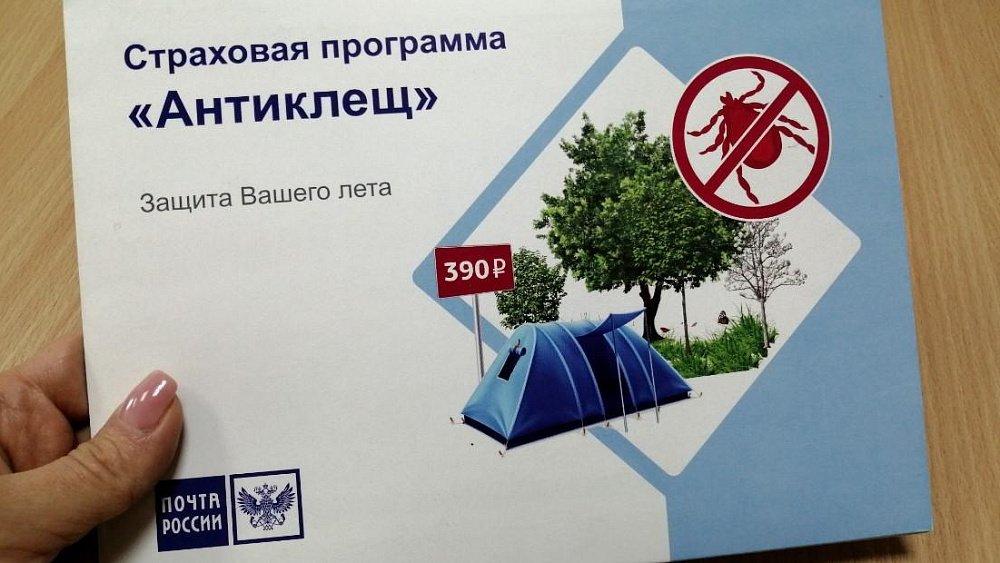 Южноуральцы начали скупать полисы от укуса клеща на почте