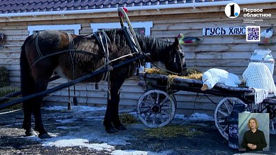 Чем развлекают туристов в Султаново?