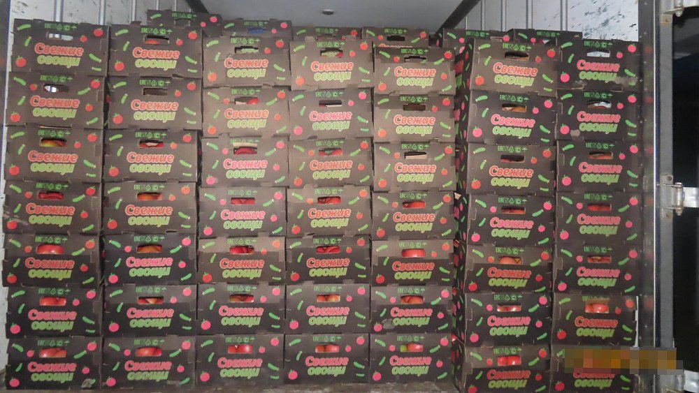 Челябинские таможенники пресекли вывоз 2,5 тонны фруктов