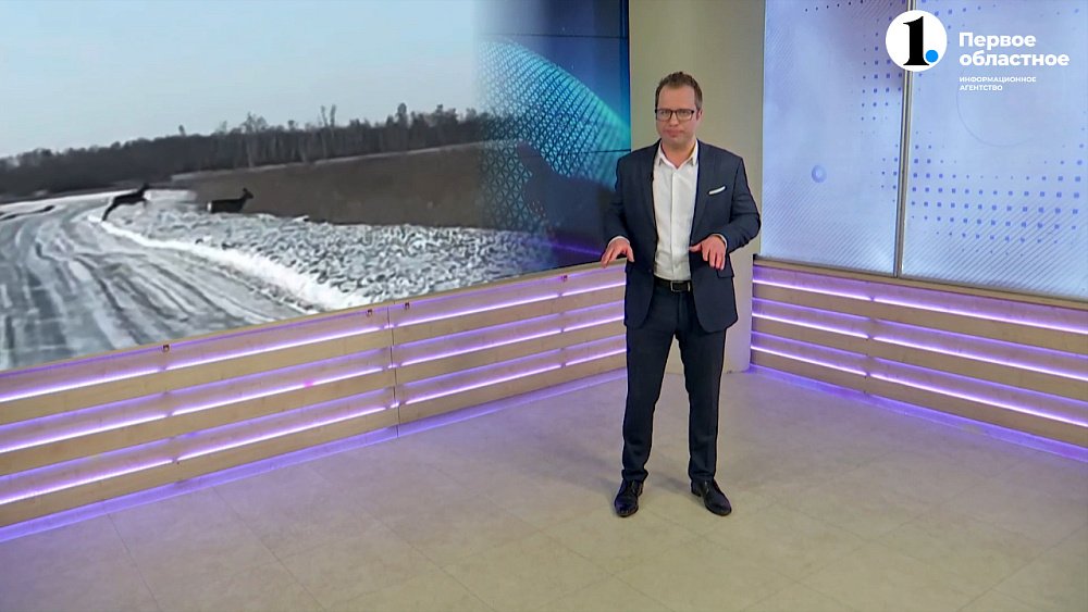 В Челябинскую область из Казахстана мигрируют косули