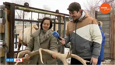 «Горыныч» в «Прямом включении»