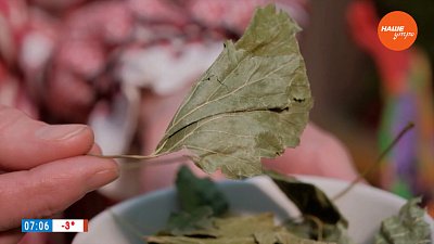 Мать-и-мачеха в рубрике «Время пить чай»