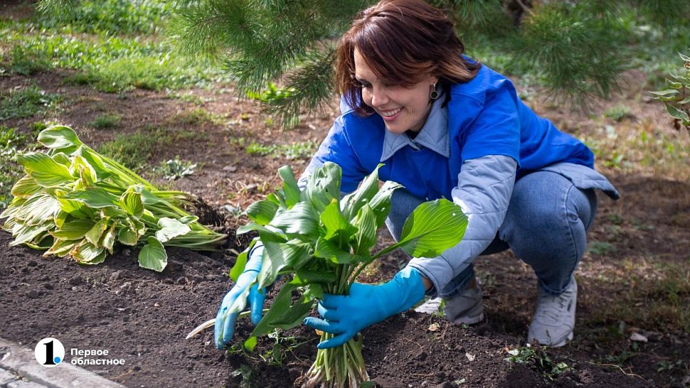 Челябинская область прошла в полуфинал Всероссийского конкурса видеороликов