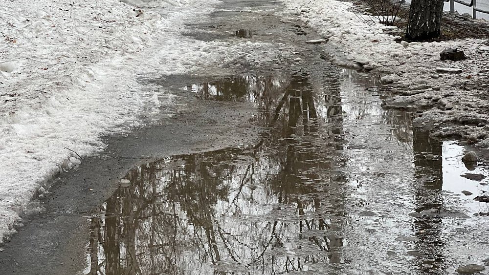 Глава Озерска открыл прямую линию по уборке тротуаров