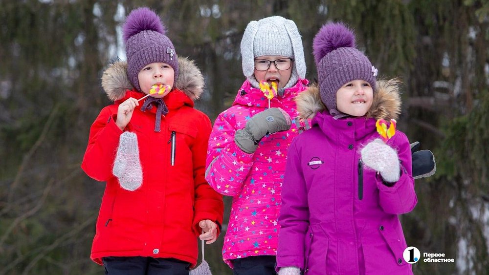 В Челябинской области расширили меры поддержки многодетных семей