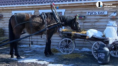 Чем удивит южноуральцев сельский туризм?