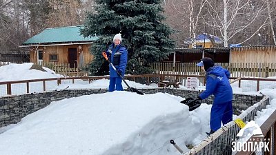 В Челябинском зоопарке откапывают домики спящих сурков