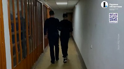 В Челябинске мужчина выкинул собаку с девятого этажа