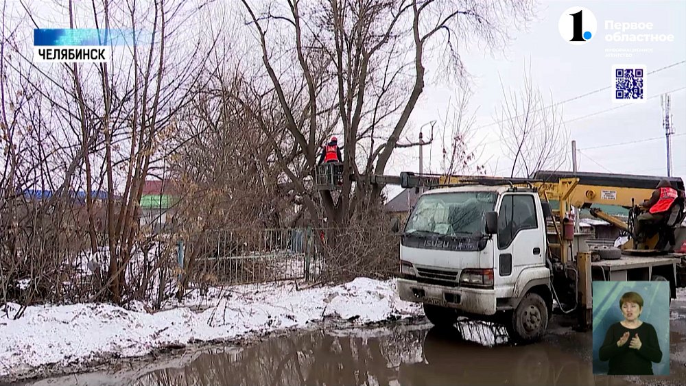 В Челябинске начали санитарную обрезку деревьев