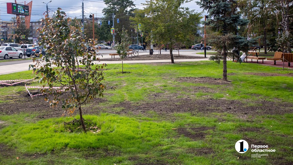 В Златоусте разработают проект благоустройства парка «Молодежный»