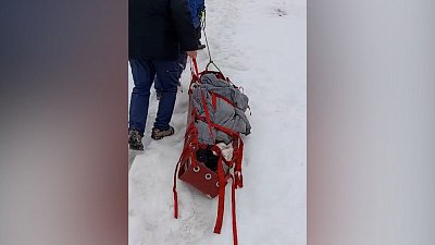 В Златоусте спасатели помогли госпитализировать пенсионерку