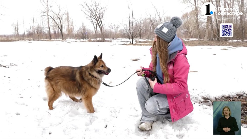 С наступлением тепла на Южном Урале активизировались клещи