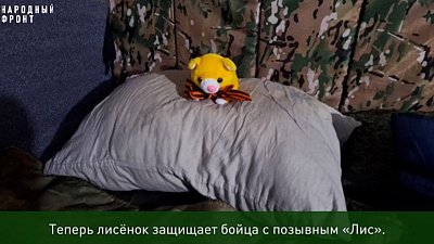 Ребенок из Магнитогорска отправил игрушку-лисенка бойцу с позывным «Лис»