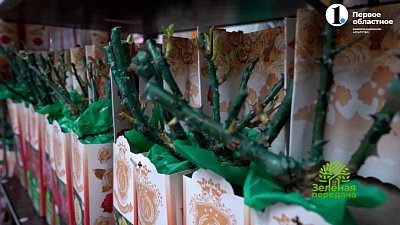 Красоты много не бывает!