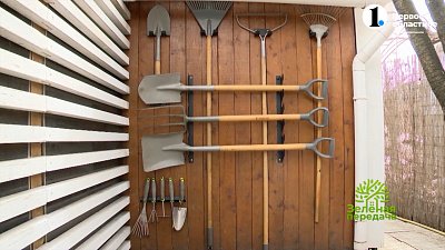 Советы хозяину сада