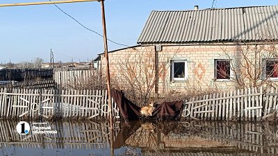 В Челябинской области круглосуточно устраняют последствия паводка